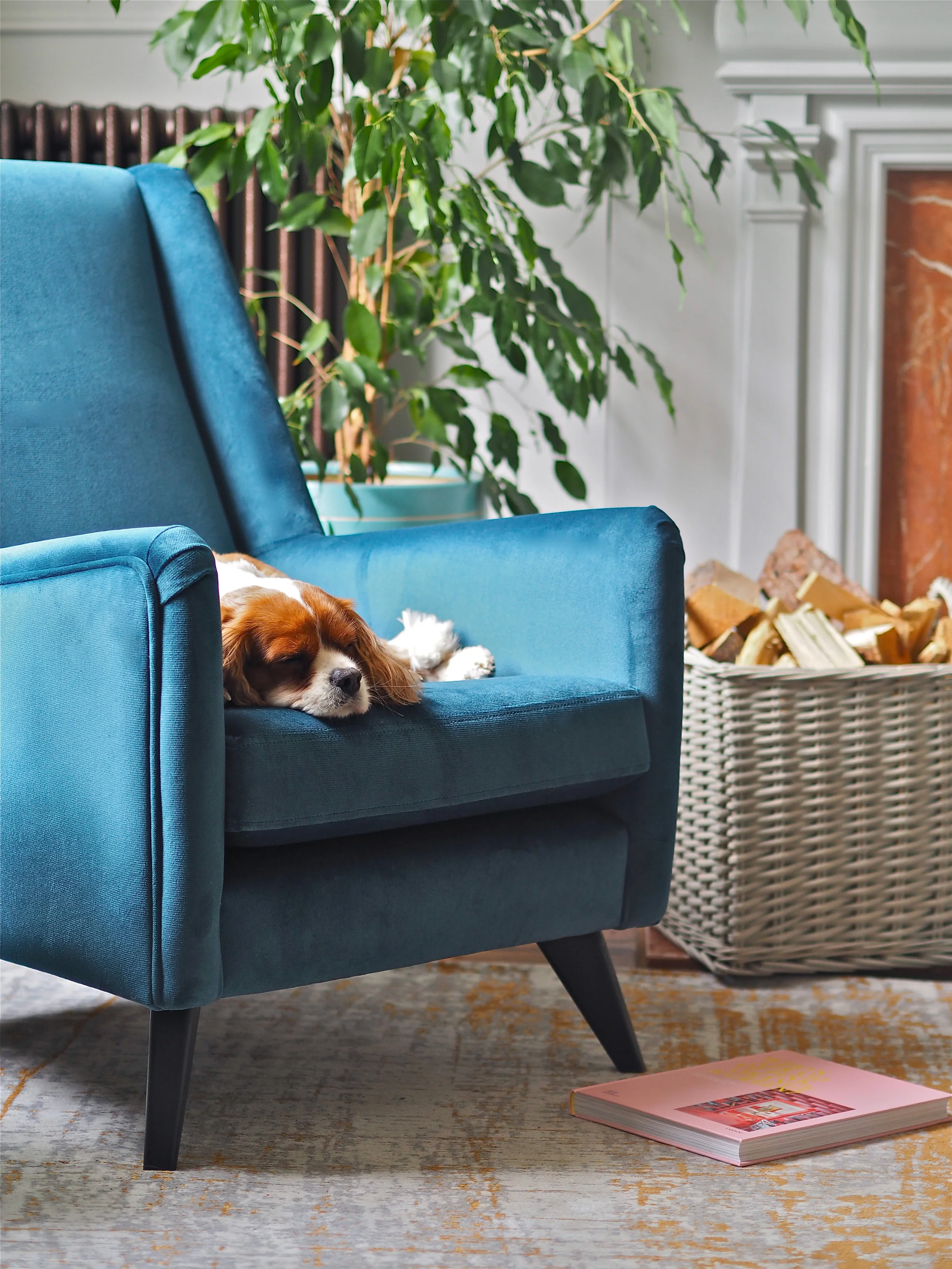 Dame on sale sofa dfs